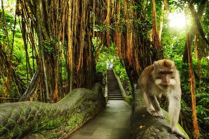 Ubud Monkey Forest