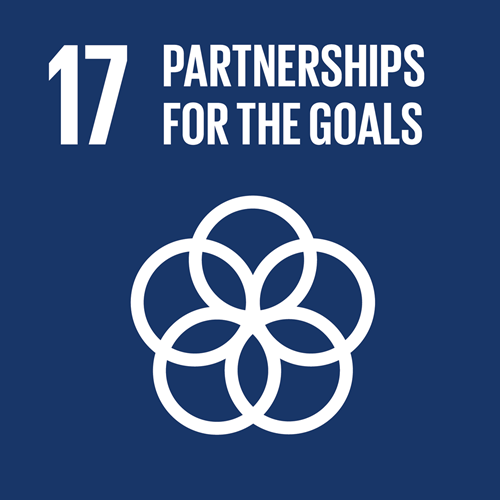 SDG-17